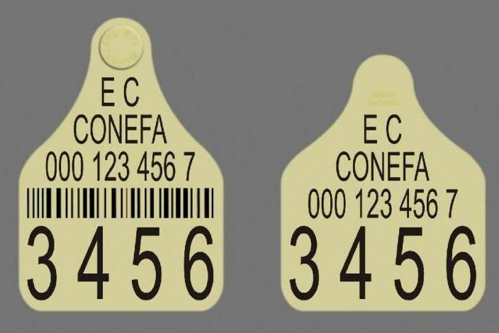 Laser Engraving Services